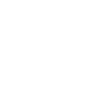 Github icon