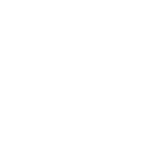 LinkedIn icon